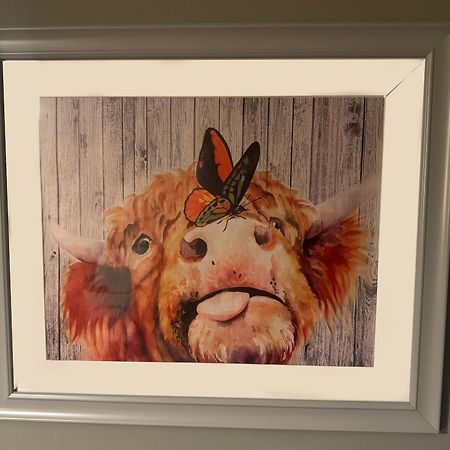 The Veterinary @ Kildare Village المظهر الخارجي الصورة