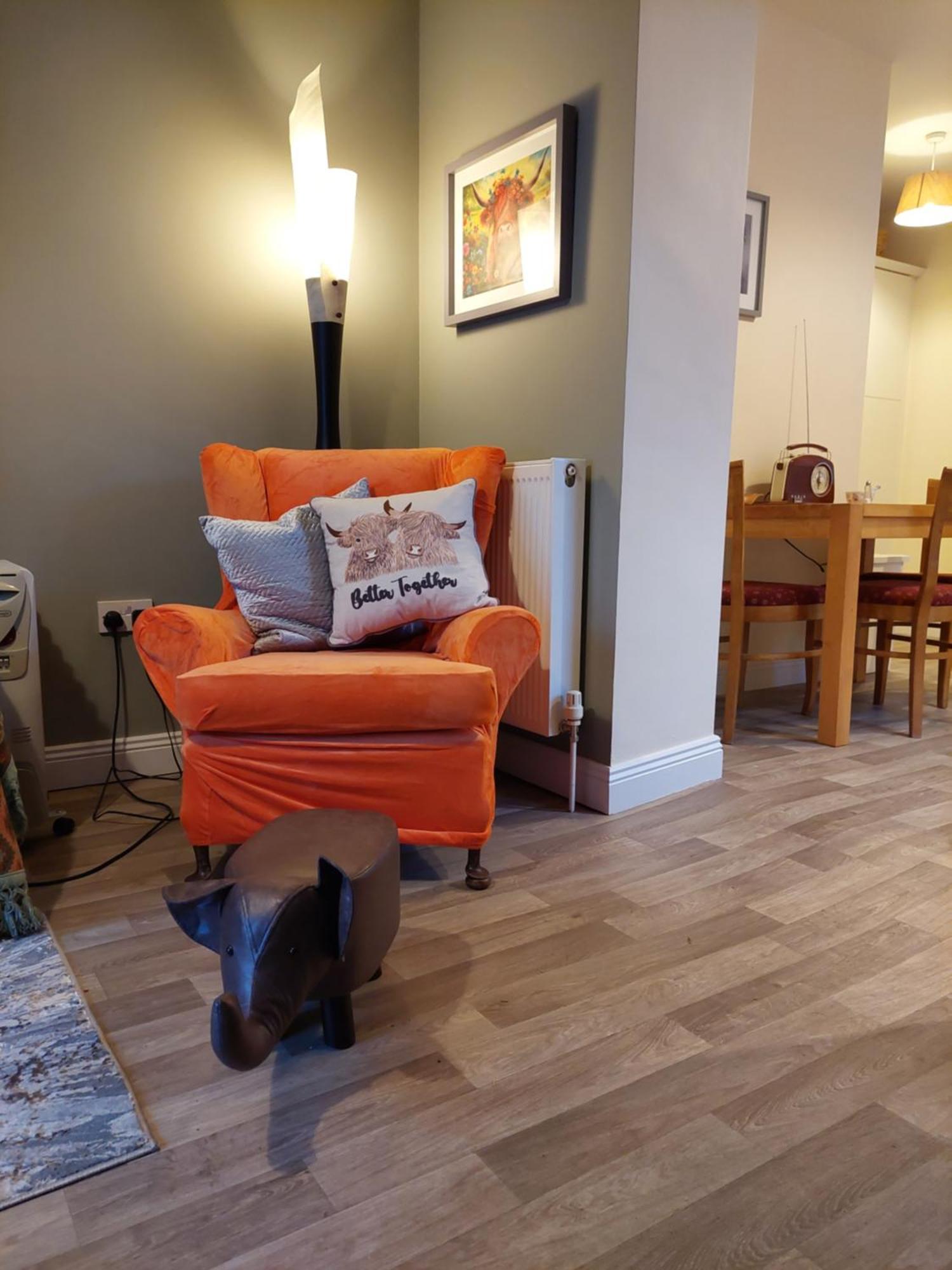 The Veterinary @ Kildare Village المظهر الخارجي الصورة