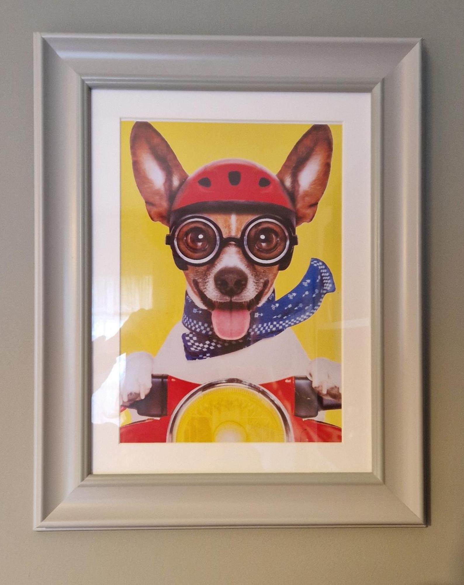 The Veterinary @ Kildare Village المظهر الخارجي الصورة