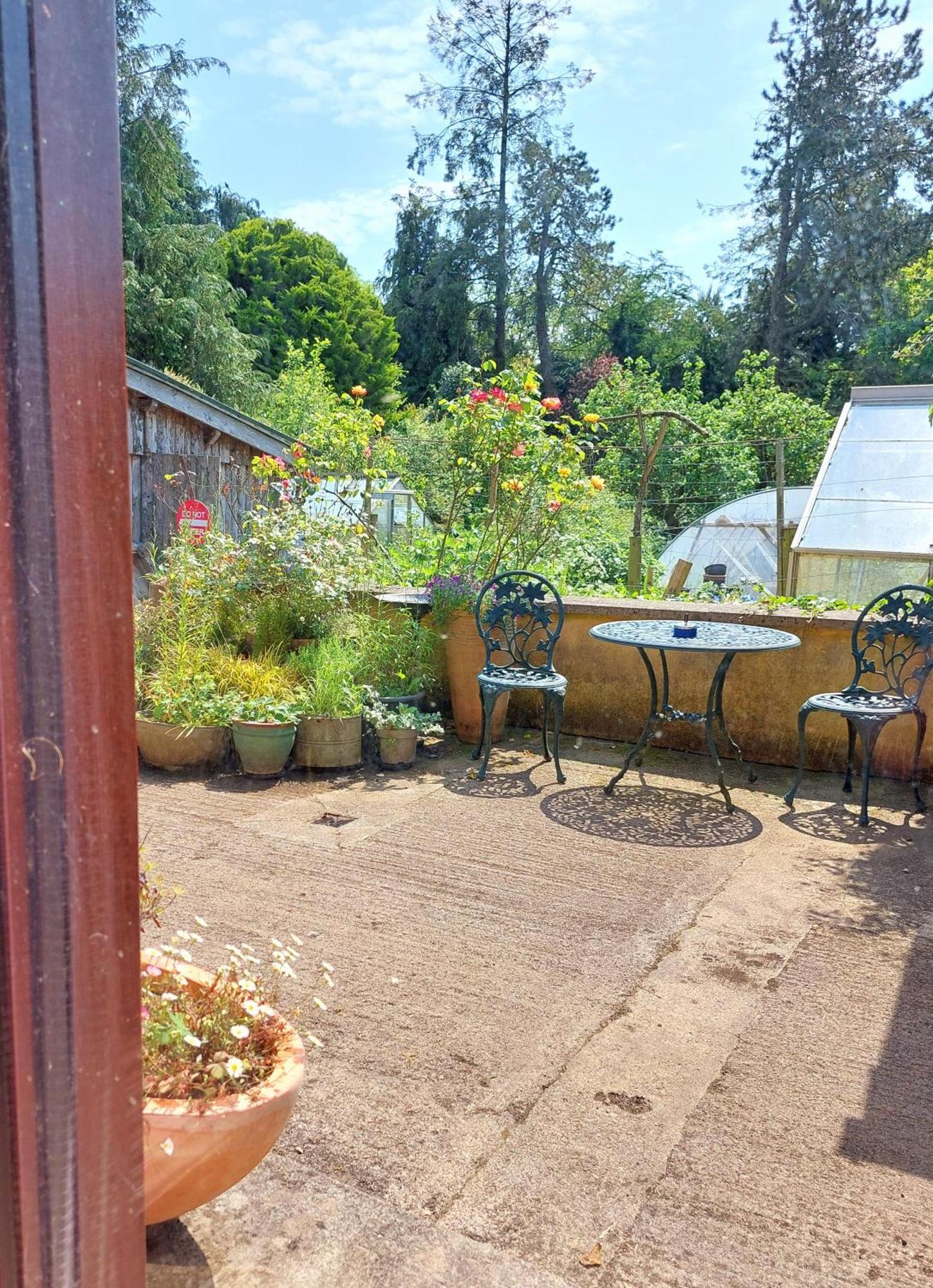 The Veterinary @ Kildare Village المظهر الخارجي الصورة