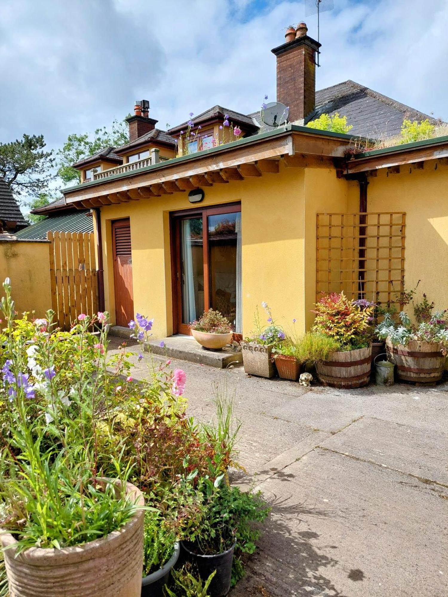 The Veterinary @ Kildare Village المظهر الخارجي الصورة